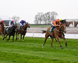 Three Impressive Winners!