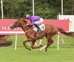 A Royal Round Up