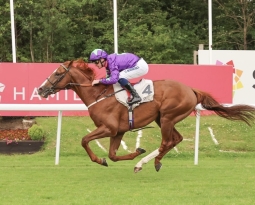 A Royal Round Up